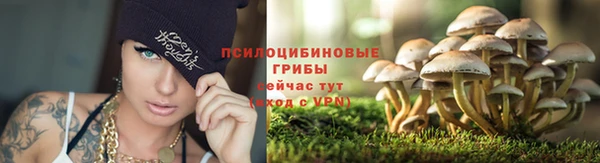 гидропоника Вяземский
