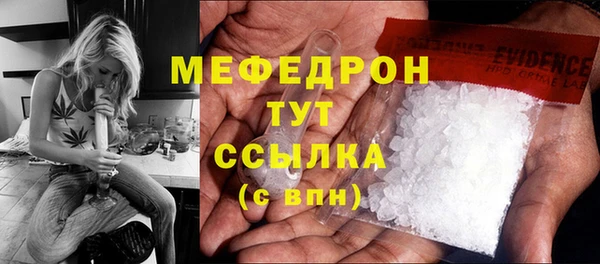 сатива Горняк