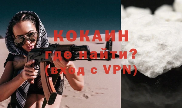 сатива Горняк