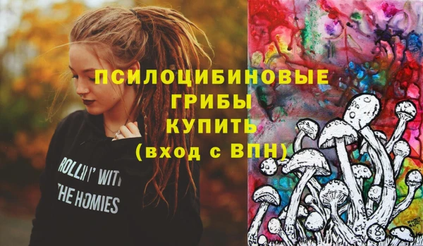 молекула духа Горно-Алтайск